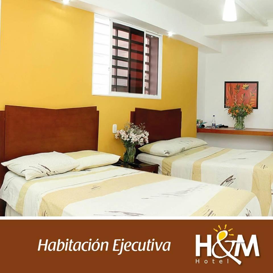 Hotel H Y M 帕尔米拉 外观 照片